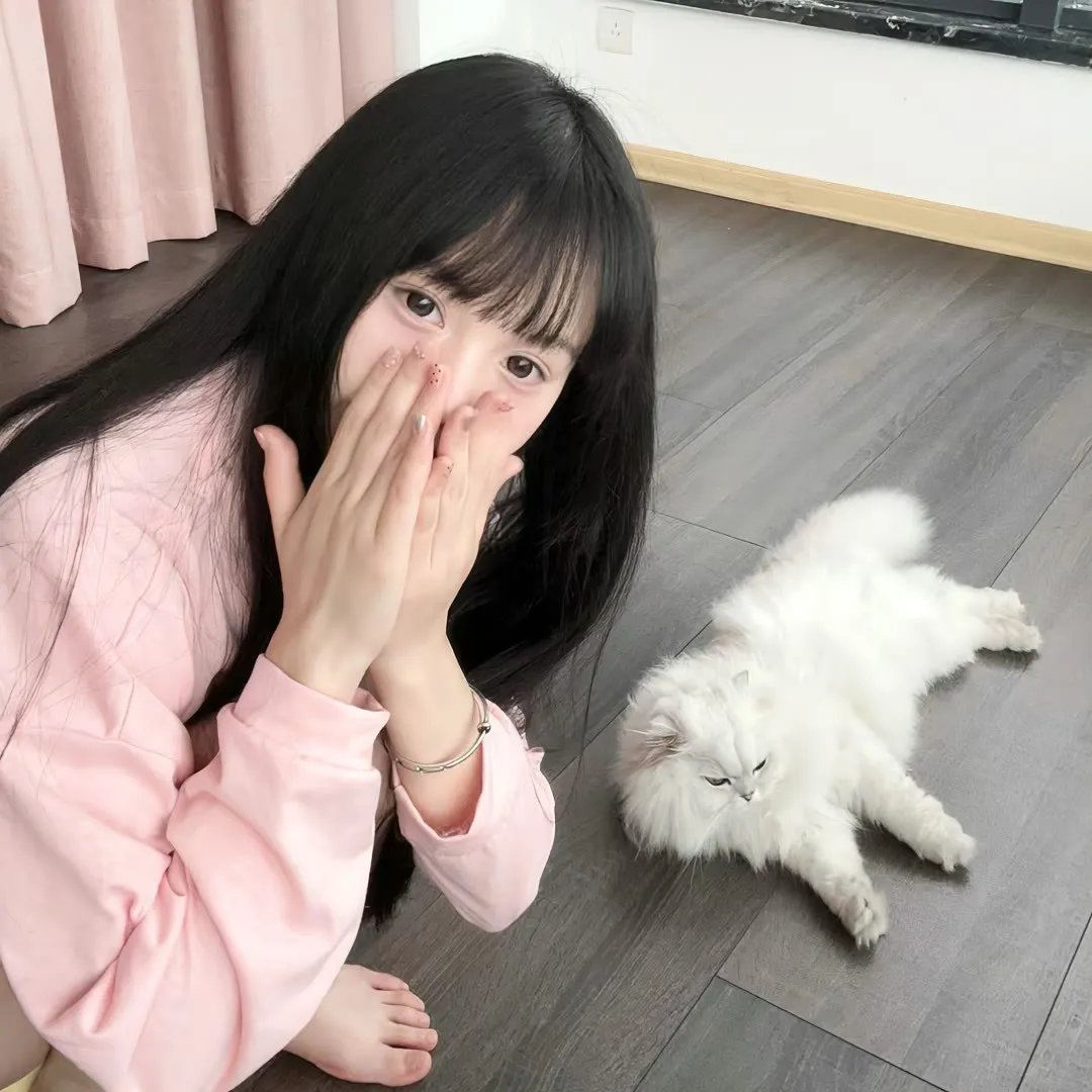 莫里斯